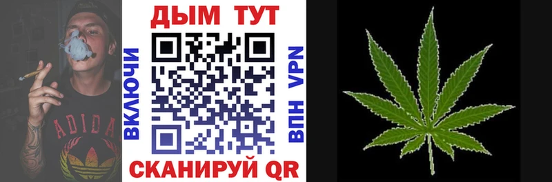 закладка  Ипатово  Конопля семена 
